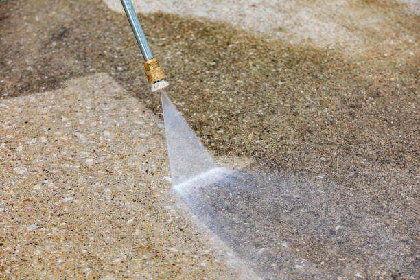 Best Animal Enclosure Cleaning  in Springtown, TX